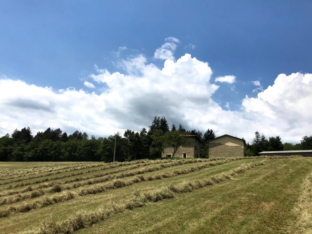 Agriturismo Il Casone San Benedetto Val di Sambro المظهر الخارجي الصورة
